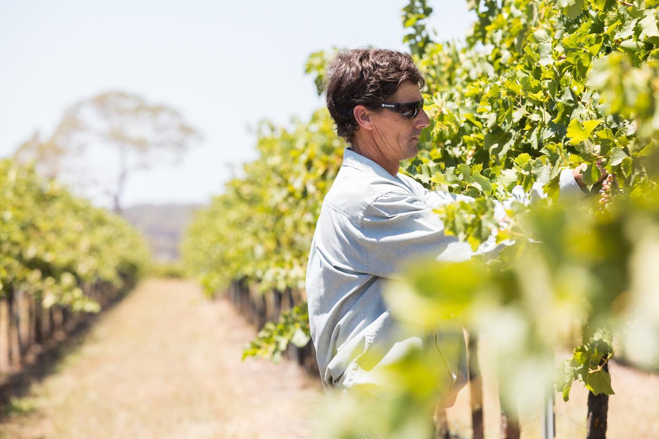 Petersons Armidale Winery And Guesthouse Bagian luar foto