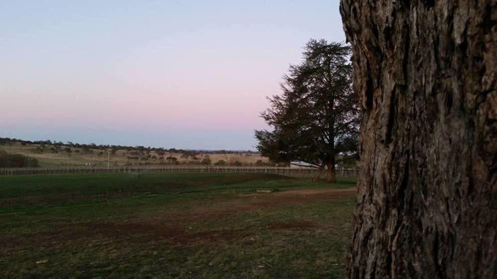 Petersons Armidale Winery And Guesthouse Bagian luar foto