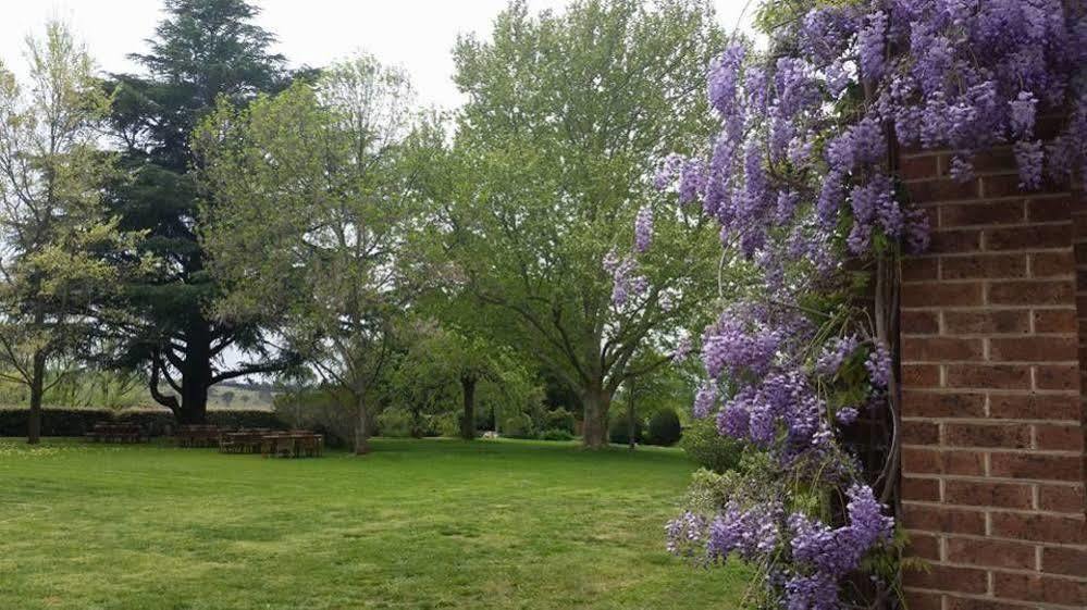 Petersons Armidale Winery And Guesthouse Bagian luar foto